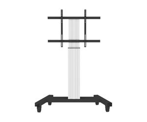 NewStar PLASMA M2250