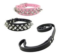 Newtensina 3 pièces Élégant Collier de Chien et Laisse Set Doux Clouté Collier de Chien avec Cuir Laisse pour Petits Chiens Moyens Chiens