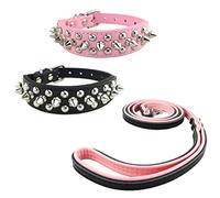 Newtensina 3 pièces Élégant Collier de Chien et Laisse Set Doux Clouté Collier de Chien avec Laisse pour Petits Chiens Cats