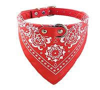 Newtensina Collier Bandana Tendance pour Chien avec Collier pour Chien - Rouge - L