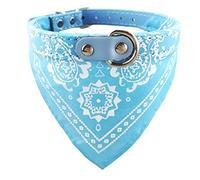 Newtensina Collier Bandana Tendance pour Chien - Taille M - Bandana avec Collier pour Chien - Bleu Clair - L