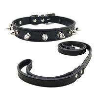 Newtensina Collier de Chien de Mode et Laisse avec des Clous Collier de Chien clouté de Cuir Souple avec Une Laisse pour Les Petits Chiens