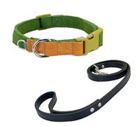 Newtensina Collier et laisse pour chien en coton polyester doux et tendance avec petit anneau en D extensible pour chiens de taille moyenne et grande taille (m) - vert - L