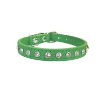 Newtensina Collier mignon pour chien avec strass pour chats et petits chiens - Vert - XXS