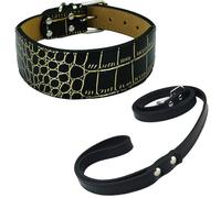 Newtensina Collier pour chien large et doux avec texture crocodile Collier et laisse pour chiens de taille moyenne et grande (c) - Noir - M