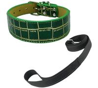 Newtensina Collier pour chien large et doux avec texture crocodile Collier et laisse pour chiens de taille moyenne et grande (a) - Vert - L
