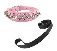 Newtensina Élégant Collier de Chien et Laisse Set Doux Clouté Collier de Chien avec Réfléchissant Laisse pour Chiens