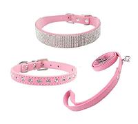 Newtensina Lot de 3 Colliers et Laisse pour Chiens en Métal Collier de Chien avec Collier Puppy et Laisse pour Chiens Petits Chats