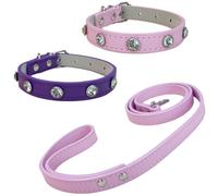 Newtensina Lot de 3 colliers pour chien avec laisse, joli collier et laisse pour chiot et chat