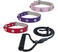 Newtensina Lot de 4 colliers pour chien avec laisse, joli collier et laisse pour chiot et chat