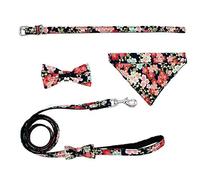 Newtensina Mode 4 pièces Collier de Chien avec Noeuds Papillon Amovibles et Bandana et Chiot Laisse pour Chiens Chats - S