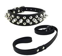 Newtensina Mode Collier de Chien et Laisse Set Doux Clouté Collar avec Chien Laisse pour Petits Chiens Moyens Chiens