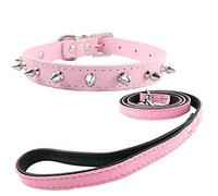 Newtensina Mode Collier de Chiots et Laisse avec des Clous Punk Collier de Chien clouté avec Laisse pour Petits Chiens