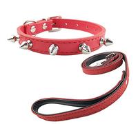 Newtensina Mode Collier de Chiots et Laisse avec des Clous Punk Collier de Chien clouté avec Laisse pour Petits Chiens