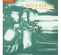 Newton, David - Return Journey