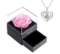 NEWUPZSI Rose royale préservée rouge, éternelle avec collier, cadeau original pour votre petite amie, cadeau romantique pour la Saint-Valentin, la fête des mères, un anniversaire, Noël, Argent