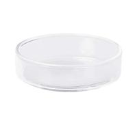 Newwyt Mangeoire pour aquarium - Bol flottant en verre transparent, 6 cm x 1,7 cm, 1 pièce, pour poissons et crevettes