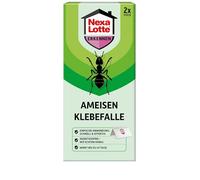 Nexa Lotte Lot de 2 pièges adhésifs anti-fourmis avec du miel véritable - 45 jours - Vert