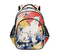 Nexawaveo Sac à dos pour enfants d'âge préscolaire pour garçons et filles de 3 à 8 ans, Léopard des neiges céleste, Medium, Sacs à dos de voyage