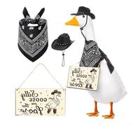 Nexbrill Ensemble de décoration en polyester pour extérieur Thème | Comprend un chapeau de cowboy, un bandana, des lunettes de soleil ; festif pour un look occidental pour le porche ou la