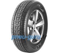 Nexen Roadian HP ( 265/35 R22 102V XL 4PR, RPB )