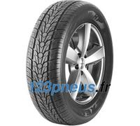 Nexen Roadian HP ( 265/35 R22 102V XL 4PR, RPB )