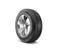 Nexen Winguard Ice Plus 195/65R15 95T XL M+S 3PMSF TL D E 68 A