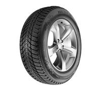 Nexen Winguard Ice Plus ( 205/65 R15 99T XL 4PR, Pneus nordiques )
