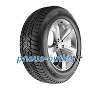 Nexen Winguard Ice Plus ( 225/55 R16 99T XL 4PR Pneus nordiques )