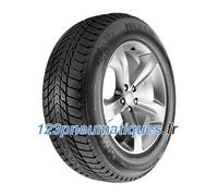 Nexen Winguard Ice Plus ( 245/45 R19 102T XL 4PR, Pneus nordiques )