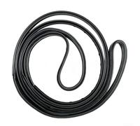 NexRen Bande d'étanchéité de porte de voiture pour hayon arrière Iveco, joint d'étanchéité en caoutchouc automobile, joint central OEM 93945316/93945315