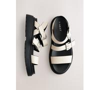 Next Bone Standard/Wide Fit Chunky Buckled Sandals