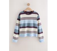 Next Brown/Blue/Ecru Stripe Interlock Long Sleeve Crew Neck T-Shirt