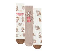 Next Chaussettes beige / écru / marron / rouge, Taille 36-41