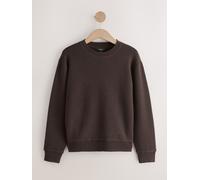 Next Chocolate Brown Knit Look Crew Long Sleeve Top