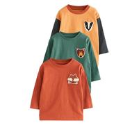 NEXT Garçon T-Shirt Manches Longues à Motif appliqué, Lot de 3 Ochre Yellow Woodland 2 Ans-3 Ans
