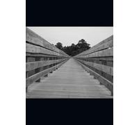 Next Level: A Teen's Guide to Walking with Jesus