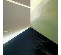 Next Life - Artificial Divinity [Import]