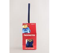 Next Paddington Bear 1 Pack Ankle Socks in a Gift Box
