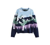 Next Pull-over marine / bleu clair / vert / lilas, Taille XL