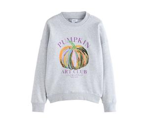 Next Sweat-shirt 'Halloween' gris / vert foncé / violet / orange, Taille 4XL-5XL