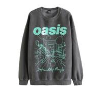 Next Sweat-shirt 'Oasis' gris foncé / vert clair, Taille XXL