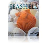 Next Time You See A Seashell