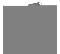 Nexusectar Support pour saumon - Planches de cuisson d'extérieur en acier inoxydable - Batterie de cuisine réversible à 180 degrés pour viande, nourriture d'intérieur, cèdre, barbecue, fête, cuisine