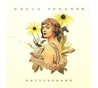 Rattlesnake