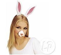 Nez de Lapin G