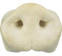 Nez de porc, lâche