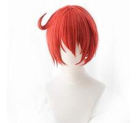 NEZIH Cellules Au Travail Perruques Érythrocytes Globules Rouges Neutrophiles Plaquettes Cheveux Synthétiques Hataraku Saibou Cosplay Perruque + Bonnet De Perruque, Décoration d'halloween