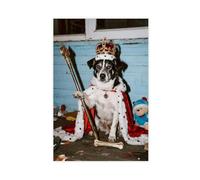 NFDVFHFRQ Poster sur toile The Stray Dog portant une couronne (2) - Décoration de chambre à coucher, bureau, chambre - Cadeau - 20 x 30 cm