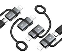 NFGR-Adaptateur Usb C Vers Lightning Avec Charge Rapide 36W Pd, Adaptateur Usb-C Femelle Vers Lightning Mâle Pour Iphone 14/13/12/11/Ipad/Ipod/Airpods, Pas Pour Audio/Otg, Gris, 4Pièces